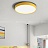 Светодиодные плоские потолочные светильники KIER 50 см  Желтый фото 9