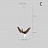 Серия подвесных светильников виде деревянных птиц со светящимися клювами с дополнительным световым элементом в потолочном креплении HANSY маленький Модель В темный фото 13