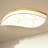 Светодиодный потолочный светильник в форме листа CHIT Зеленый Малый (Small) фото 7