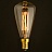 Лампы Edison Bulb 4860-F фото 2